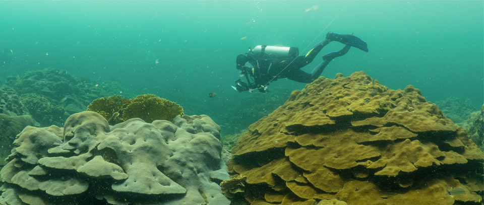 Varadero Reef Colombia