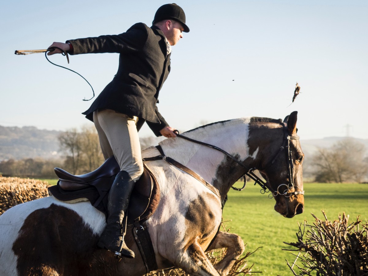 The Steeple Chase – part&nbsp;I