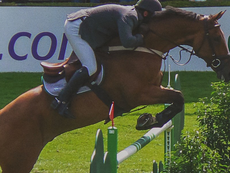 The Steeple Chase – part&nbsp;III