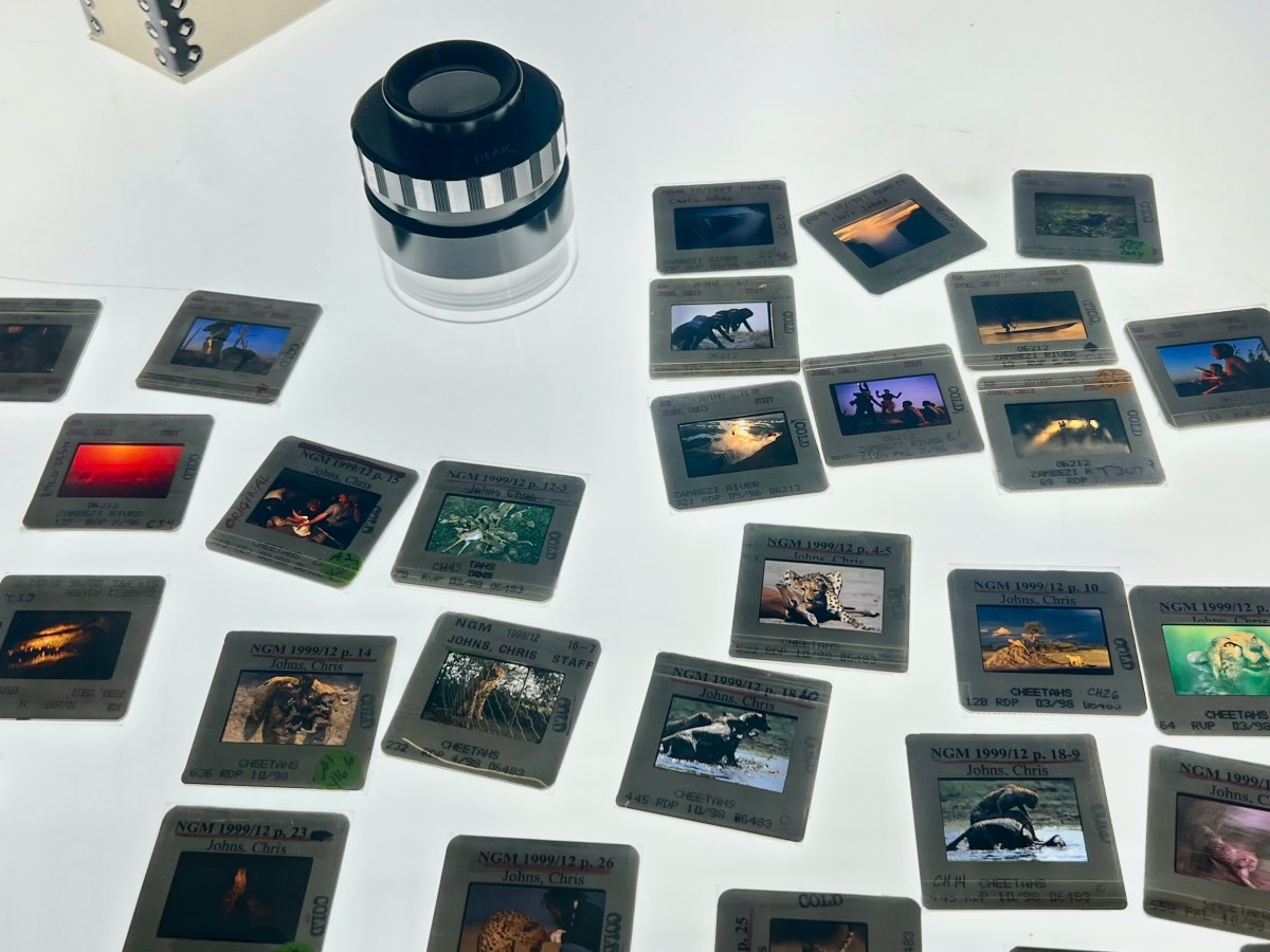 Lessons from the National Geographic&nbsp;Archives