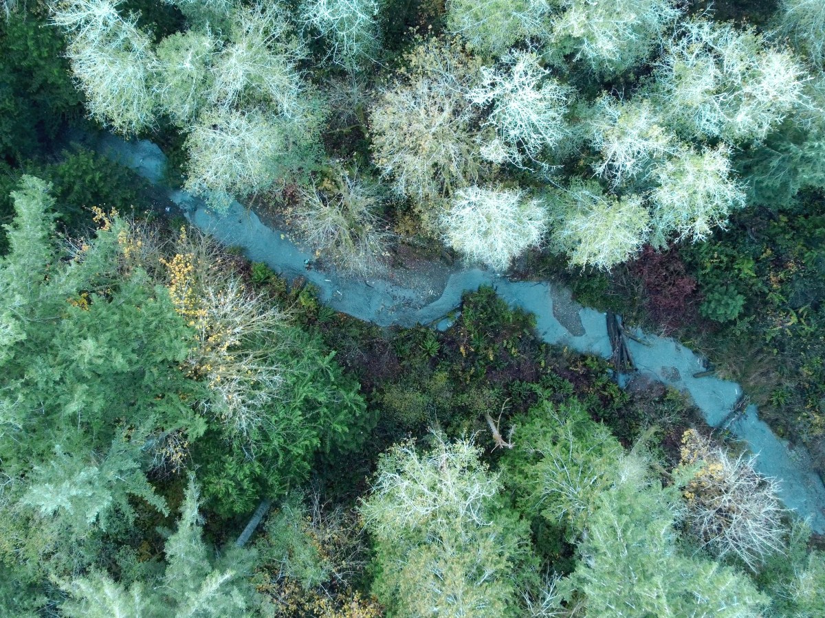 Swimming Against the&nbsp;Current